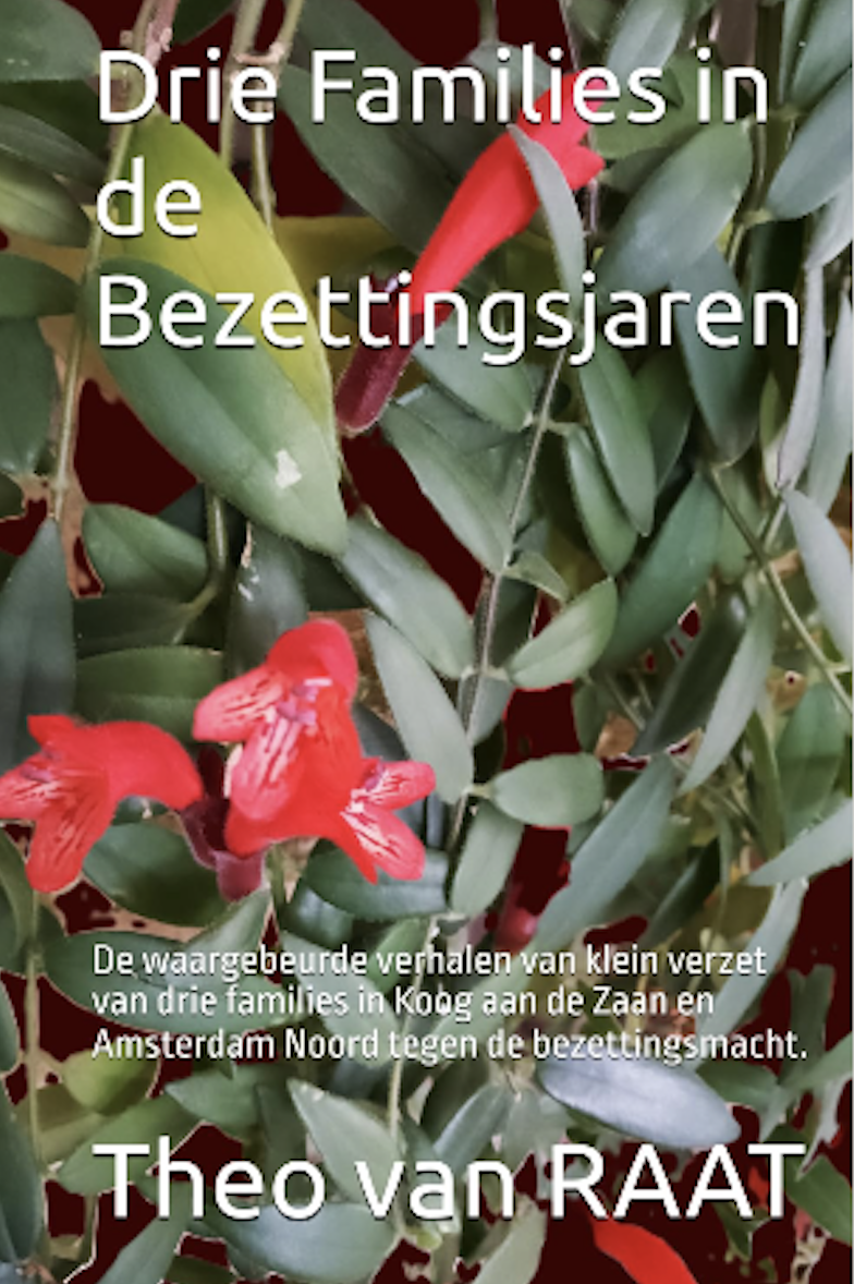 Omslag Drie Families in de Bezettingsjaren